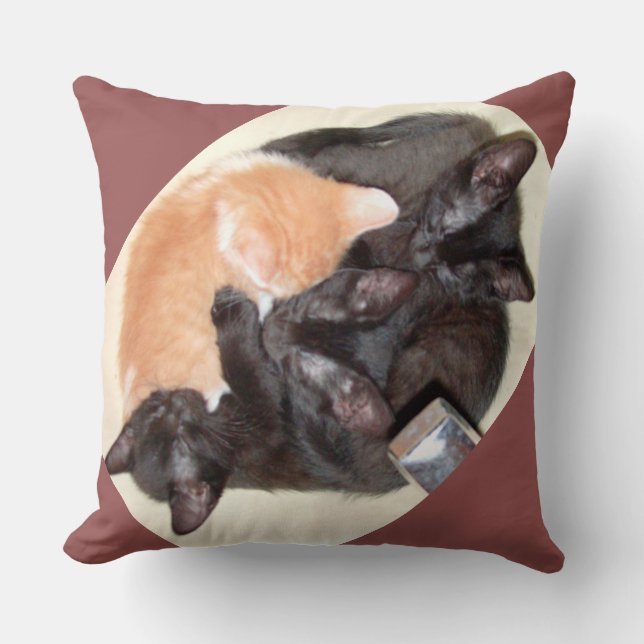 Meow Cats 37 Square Throw Kissen (Vorderseite)