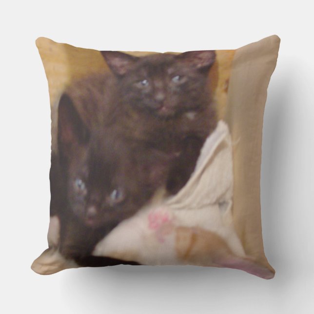 Meow Cats 38 Square Throw Kissen (Vorderseite)