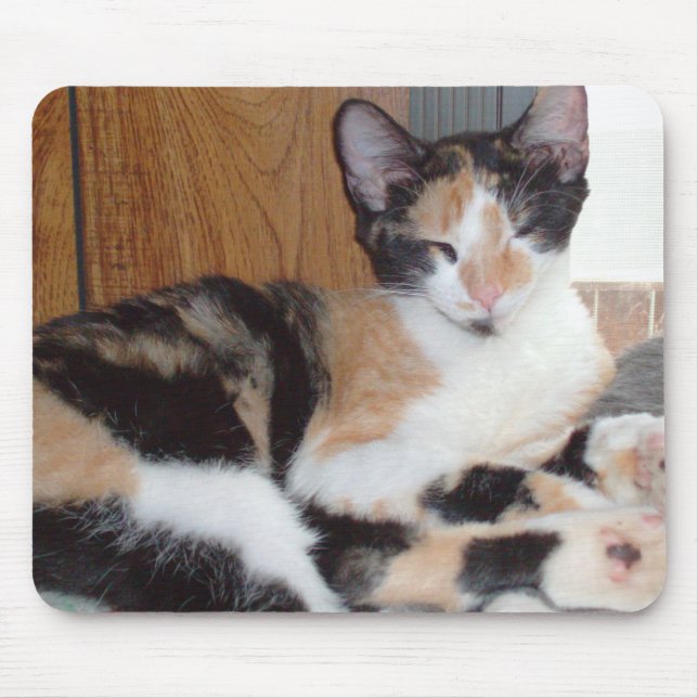 Meow Cats 39 Mousepad (Vorne)