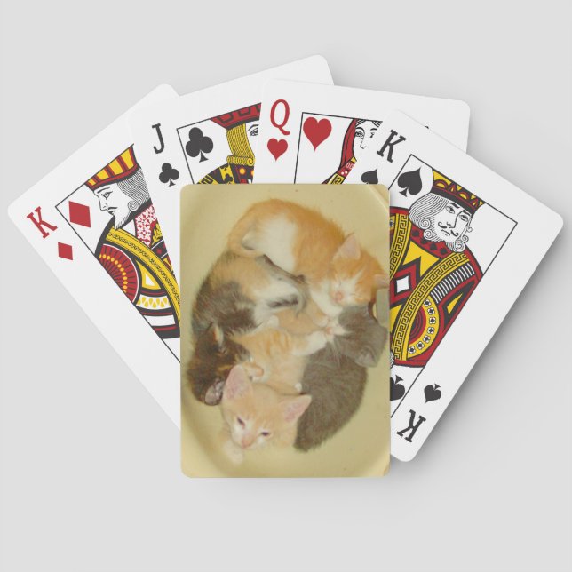 Meow Cats 4 Spielkarten (Rückseite)