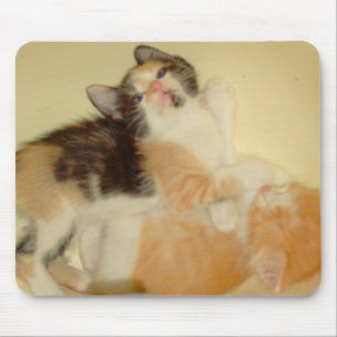 Meow Cats 5 Mousepad