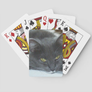Meow Cats 8 Playing Cards Spielkarten