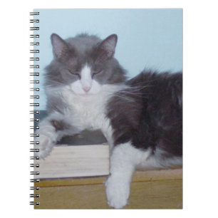 Meow Cats 9 Notebook Notizblock