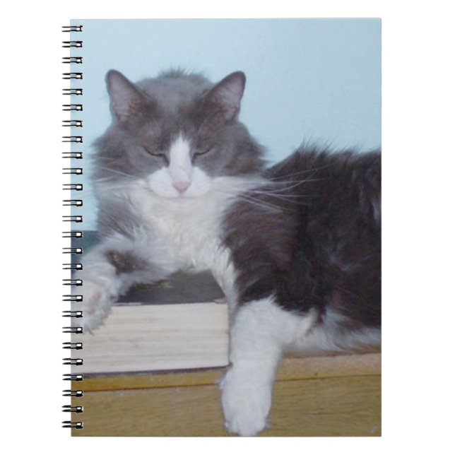 Meow Cats 9 Notebook Notizblock (Vorderseite)