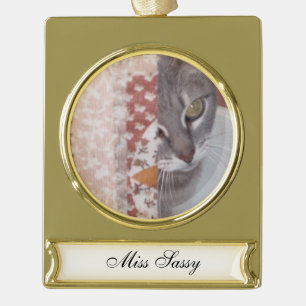 Meow Cats Banner-Ornament Gold