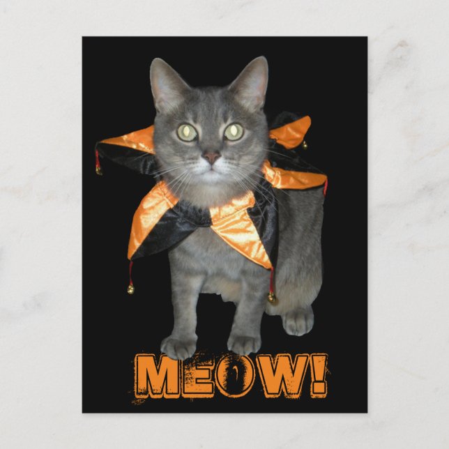 Meow Costume Cat Postkarte (Vorderseite)