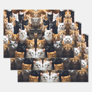 Meow Geschenkpapier Set