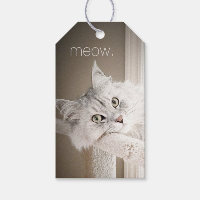 Meow-Gift-Tags Geschenkanhänger (Vorderseite)