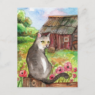 Meow in der Scheune Postkarte