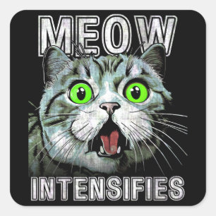 Meow intensiviert schottische Fold Cat Meme Quadratischer Aufkleber