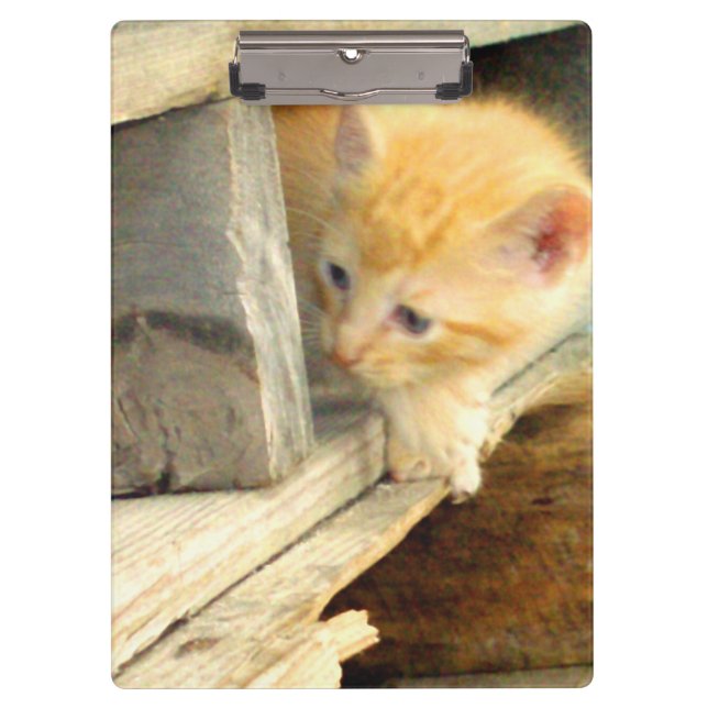 Meow Katzen 1 Zwischenablage Klemmbrett (Vorderseite)