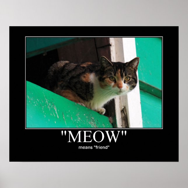 Meow Means Friend Cat Artwork Poster (Vorne)