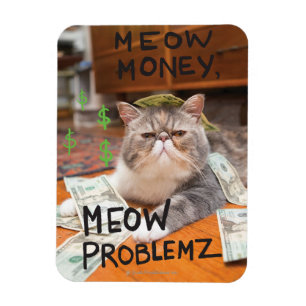 Meow Money, Meow Problemz Magnet