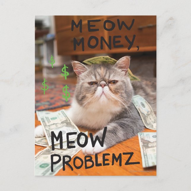 Meow Money, Meow Problemz Postkarte (Vorderseite)