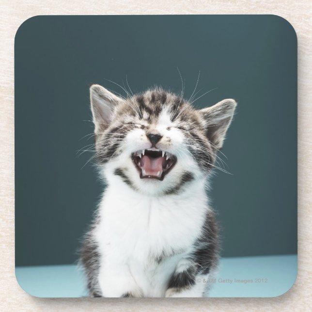 Meowing Kätzchen Getränkeuntersetzer (Vorderseite)