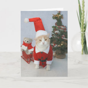 MEOWry Weihnachten! Feiertagskarte