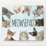 Meowsepad | Funny Cat Lover Mousepad<br><div class="desc">Wir sitzen alle auf dem Unterteil und warten,  bis die Maus zurückkommt. Comical cat Mousepad mit Illustrationen von siamesischen,  bombay,  schottischen Falten,  und russisch blauen Katzen auf einem hellblauen Hintergrund.</div>