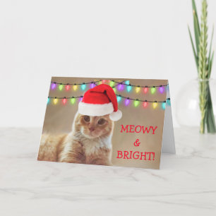 Meowy and Bright Cat Christmas Feiertagskarte
