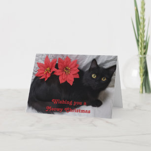 Meowy Christmas Black Cat Red Poinsettias Foto Karte