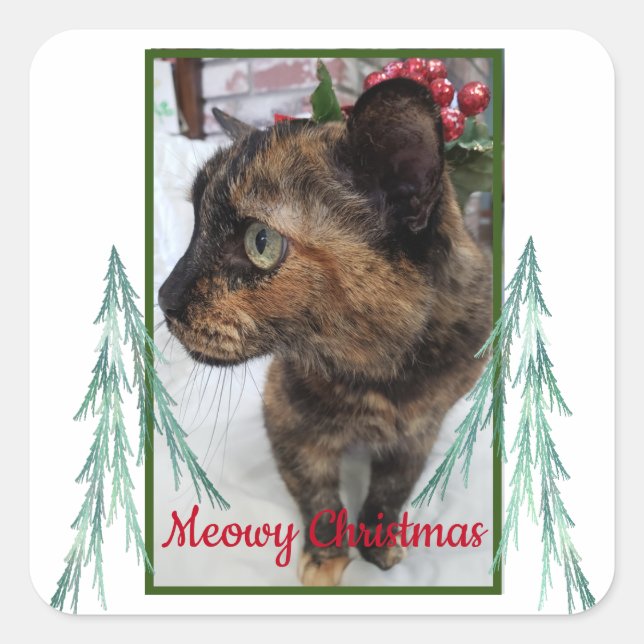 Meowy Christmas Cat Foto Evergreen Fraktal Bough Quadratischer Aufkleber (Vorderseite)