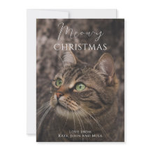 Meowy Christmas Cat Foto
