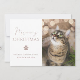 Meowy Christmas Cat Foto Weihnachten