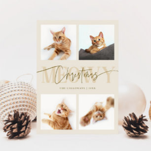 Meowy Christmas Cat Fotos Creme Weihnachten