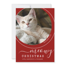 Meowy Christmas Cat Kitten Foto Rot und Weiß