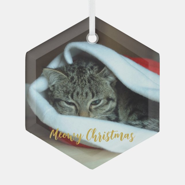 Meowy Christmas Cat Ornament Aus Glas (Vorderseite)