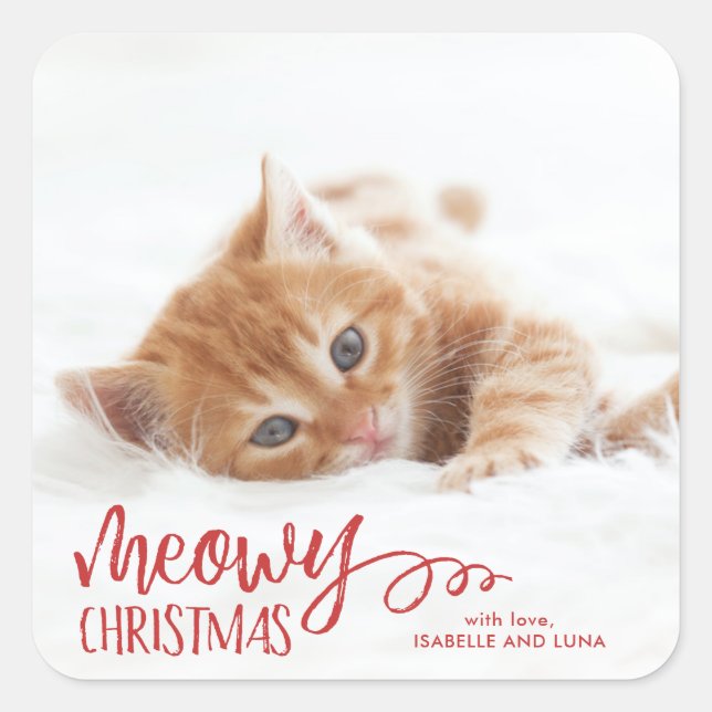 Meowy Christmas Cat Pet Holiday Sticker (Vorderseite)