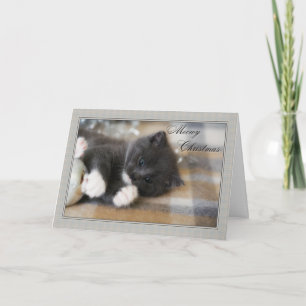 Meowy Christmas Feiertagskarte