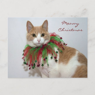 Meowy Christmas Feiertagspostkarte