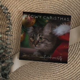 Meowy Christmas | Foto Weihnachten