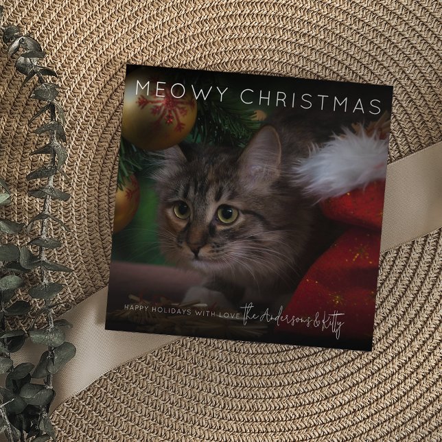 Meowy Christmas | Foto Weihnachten (Von Creator hochgeladen)