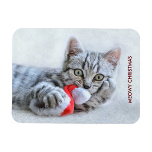 Meowy Christmas Niedlich Gray Tabby Cat Magnet