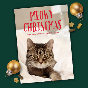 Meowy Christmas Niedlich Kitty Cat   FOTO Feiertagskarte