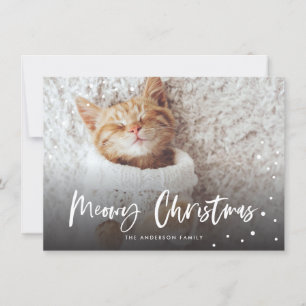 Meowy Christmas Snow Cat FOTO
