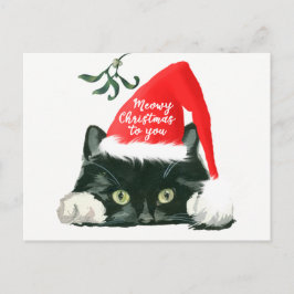 meowy feiertagspostkarte