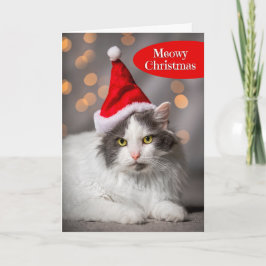 Meowy Frohe Weihnachten für jede Niedliche Katze i