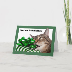 Meowy (frohe) Weihnachtskat Niedlich mit Gegenwart Feiertagskarte