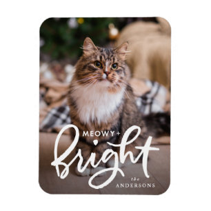 Meowy und Bright Katzenfoto Magnet