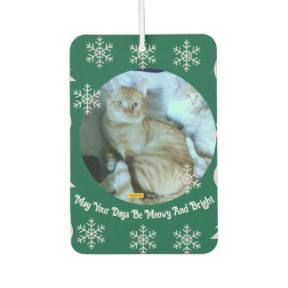 Meowy und hell, Orange Katze Foto, Weihnachten Autolufterfrischer