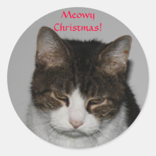 Meowy Weihnachten! - Feiertags-Gruß-Aufkleber Runder Aufkleber