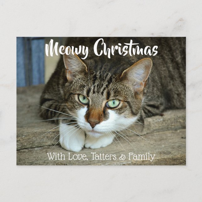 Meowy Weihnachten Ihre Katze Weihnachten Weihnacht Postkarte (Vorderseite)