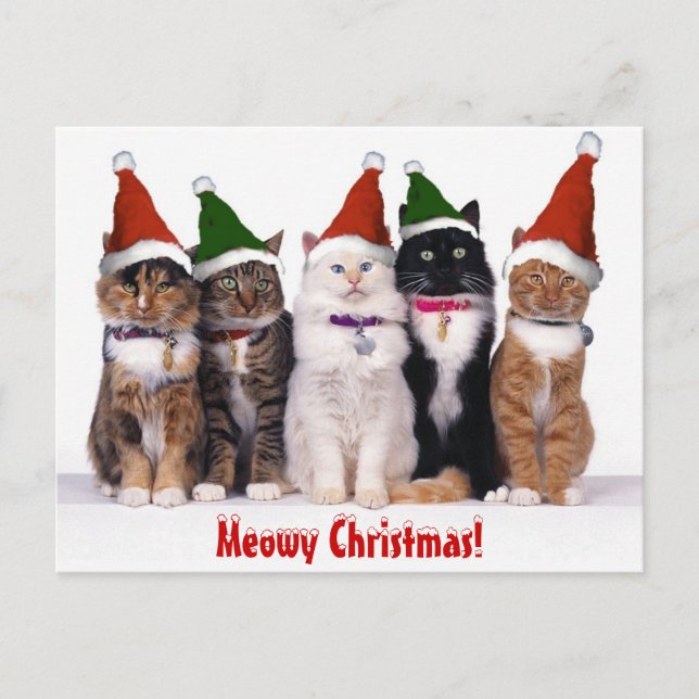 "Meowy Weihnachten!" Katzen Feiertagspostkarte (Vorderseite)
