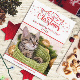 Meowy Weihnachten und eine falsche Fotokarte für d