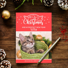 Meowy Weihnachten und eine falsche Fotokarte für d