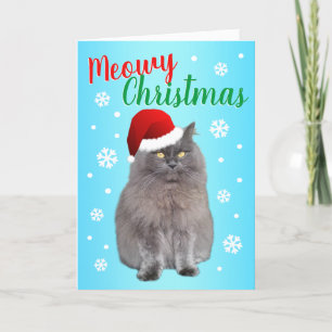Meowy Weihnachten von der Katze