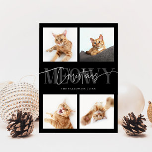 Meowy Weihnachts Cat Fotos Schwarze Weihnachten