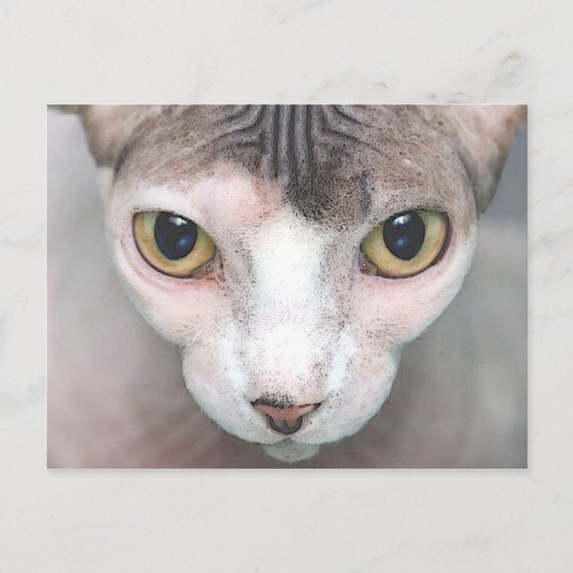 Mephisto Postkarte (Vorderseite)